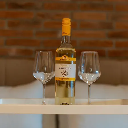 Apartament Istrian Perfect Life *
